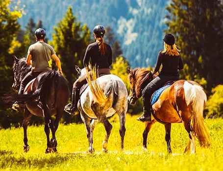 Drei Personen reiten auf Pferden