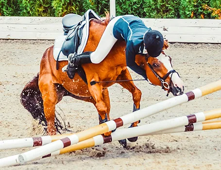 Pferd springt nicht und Reiter fällt vom Pferd